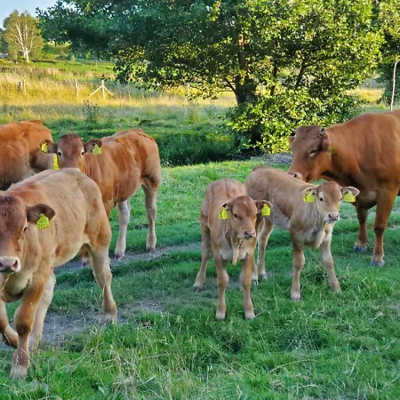 A Little Peace And Quiet 3*