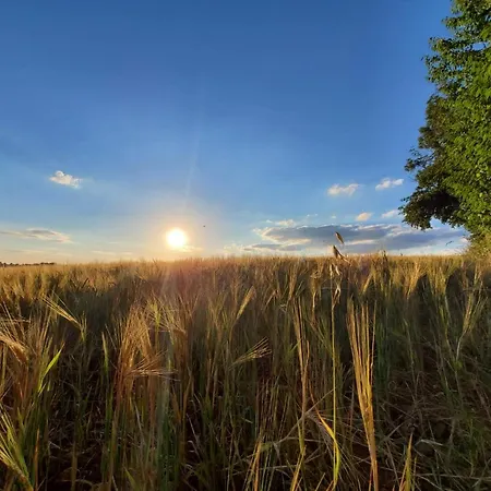 A Little Peace And Quiet