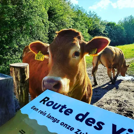 A Little Peace And Quiet Wahlwiller