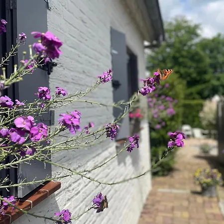 A Little Peace And Quiet