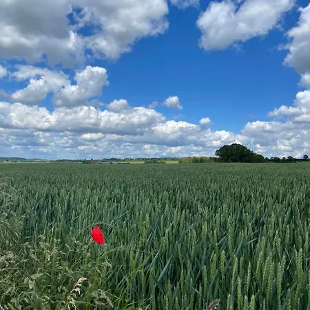 A Little Peace And Quiet 3*