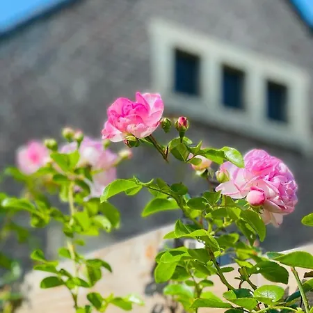 Bed and Breakfast A Little Peace And Quiet 3*