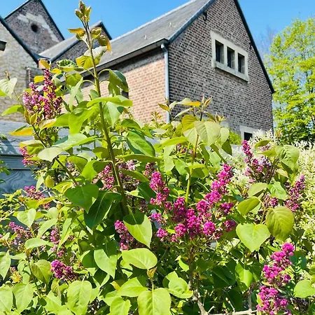 Bed and Breakfast A Little Peace And Quiet Wahlwiller