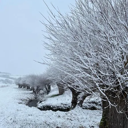 A Little Peace And Quiet Bed and Breakfast Wahlwiller