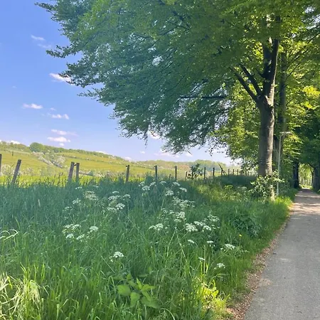 A Little Peace And Quiet 3* Wahlwiller