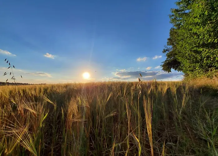 A Little Peace And Quiet