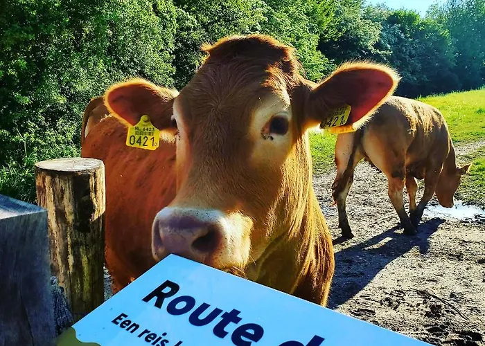 A Little Peace And Quiet Wahlwiller