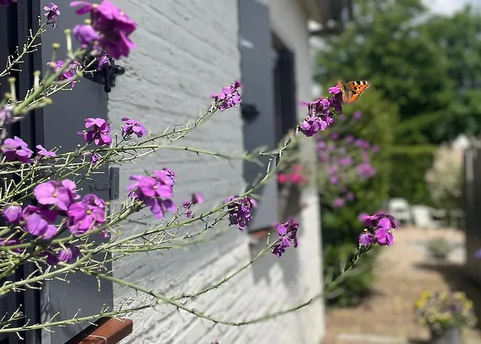 A Little Peace And Quiet