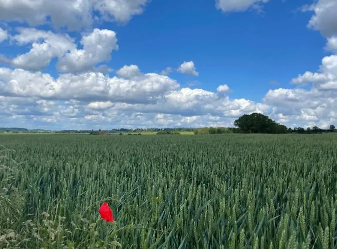 A Little Peace And Quiet 3*