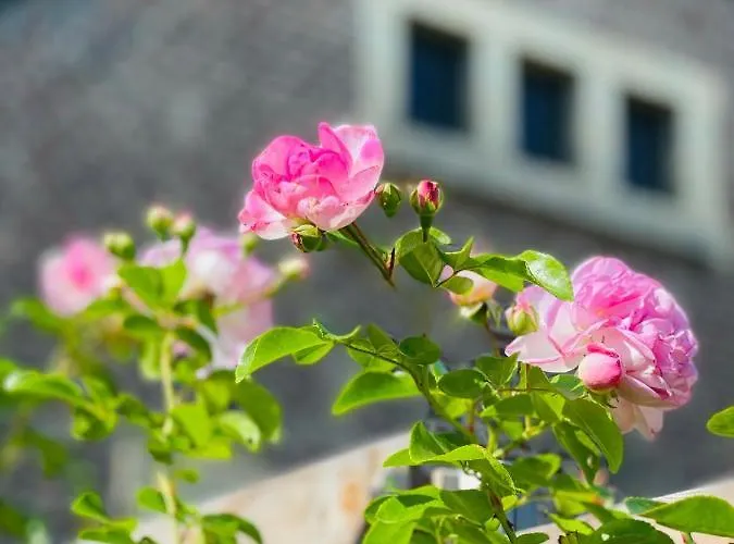 فندق مبيت وإفطار A Little Peace And Quiet 3*