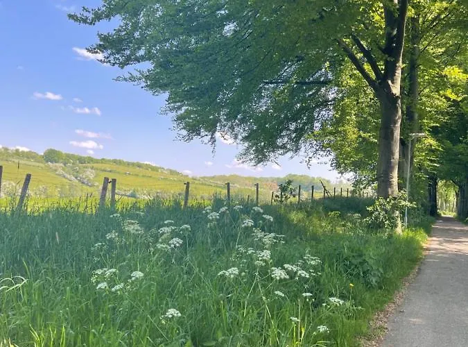 A Little Peace And Quiet 3* Wahlwiller