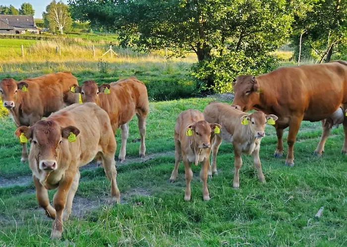 A Little Peace And Quiet 3*