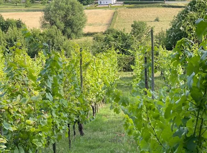 A Little Peace And Quiet Bed & Breakfast Wahlwiller