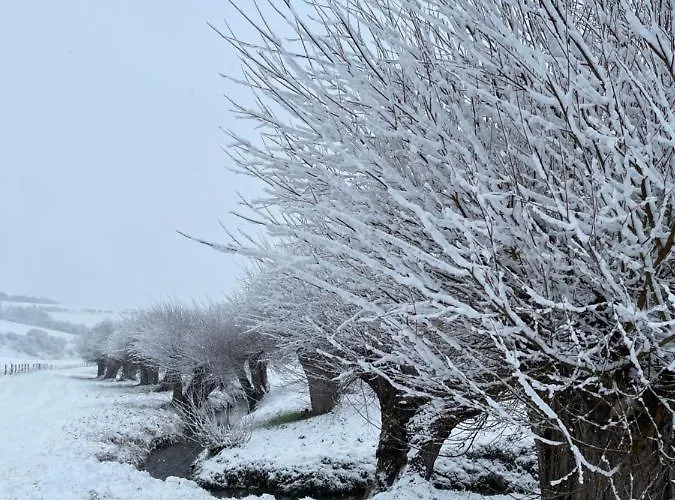 A Little Peace And Quiet Bed & Breakfast Wahlwiller